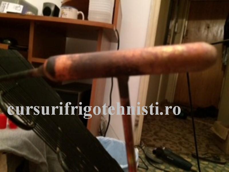 IMG_8359 (Custom).JPG