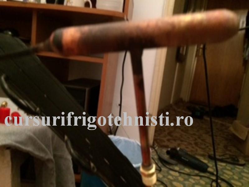 IMG_8360 (Custom).JPG