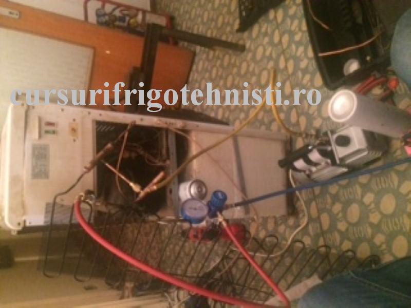 IMG_8367 (Custom).JPG