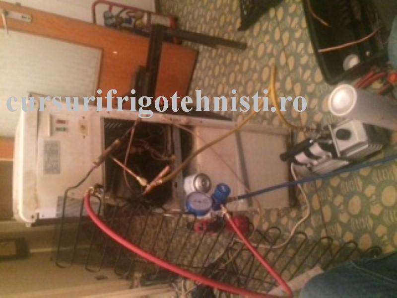 IMG_8368 (Custom).JPG