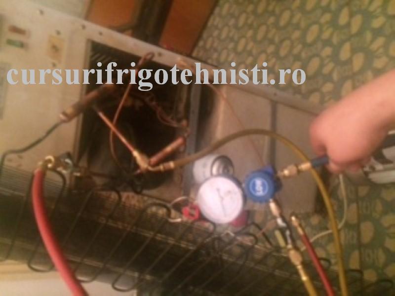 IMG_8370 (Custom).JPG