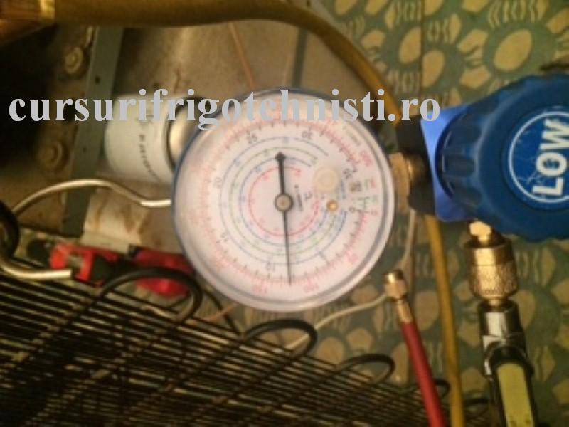 IMG_8372 (Custom).JPG