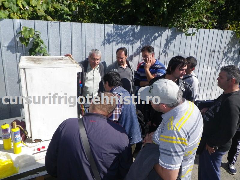 IMGP0497 (Custom).JPG