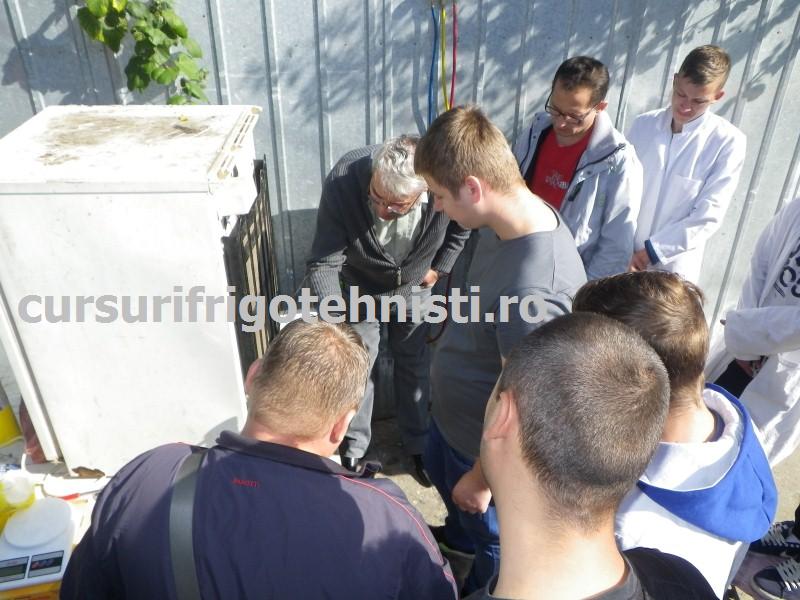 IMGP0485 (Custom).JPG