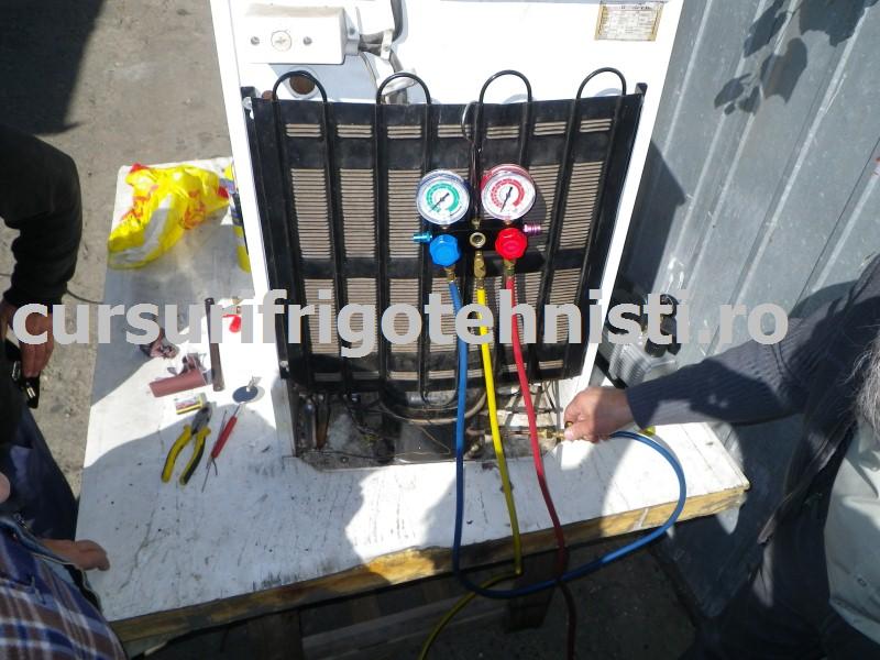 IMGP0495 (Custom).JPG