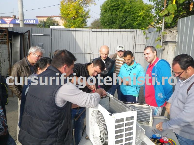 IMGP0499 (Custom).JPG