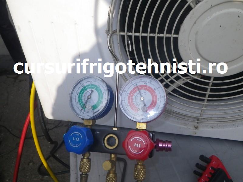 IMGP0505 (Custom).JPG