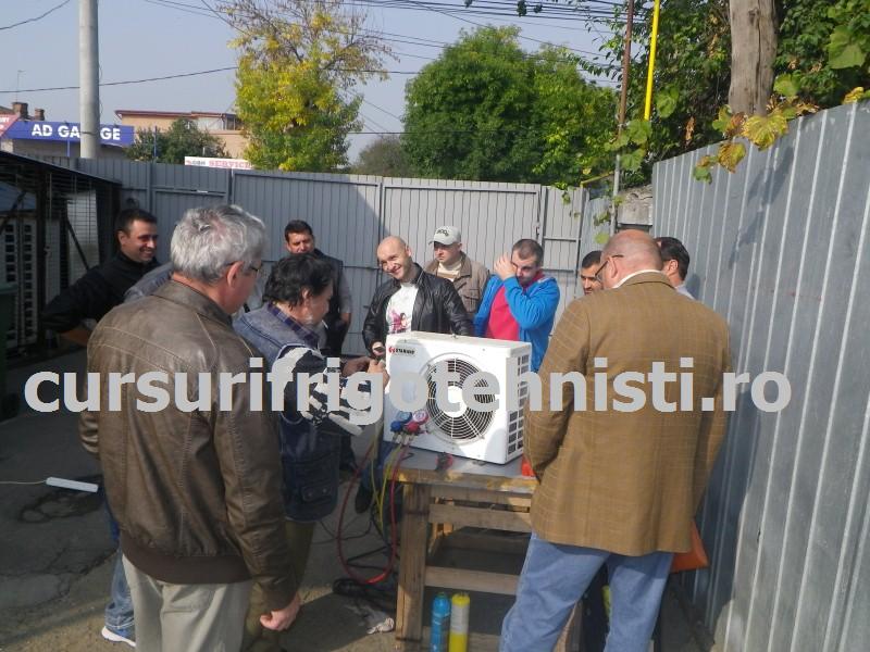 IMGP0506 (Custom).JPG