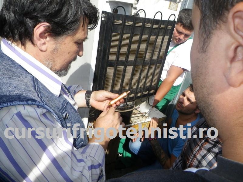 IMGP0437 (Custom).JPG