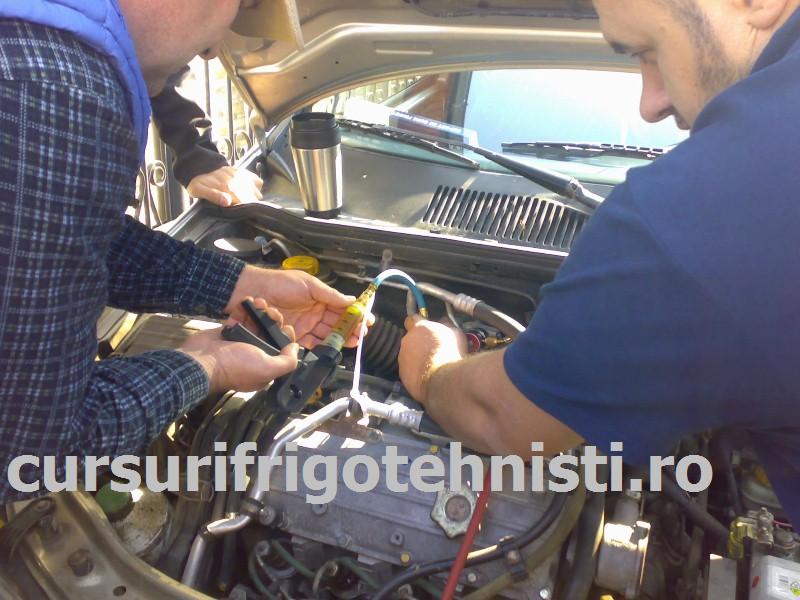 26102013256 (Custom).jpg