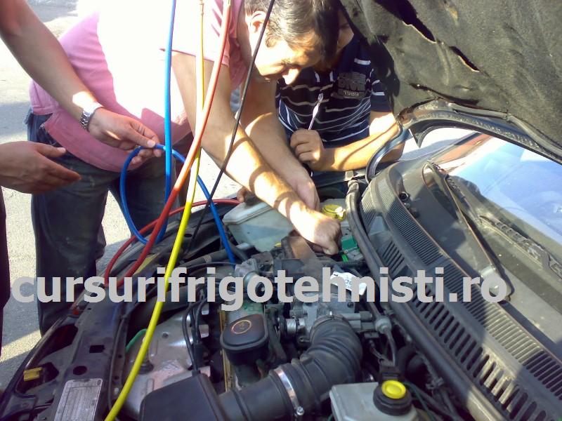 26102013268 (Custom).jpg