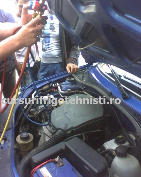 IMG_0016 (Custom).JPG