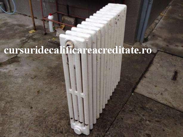 72546484_3_644x461_calorifere-fonta-termice.jpg