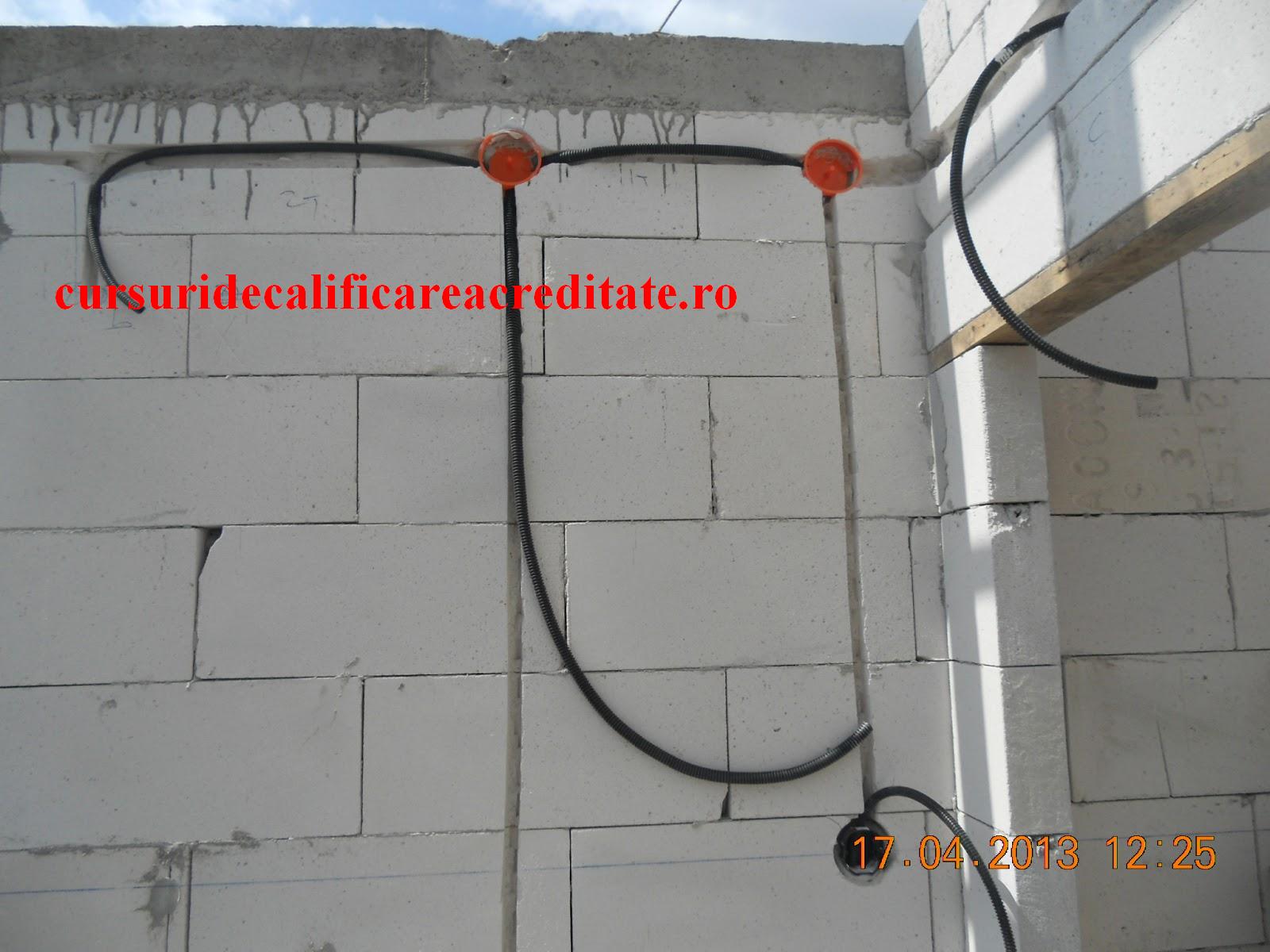 bca-ul este pe gustul nostru.jpg