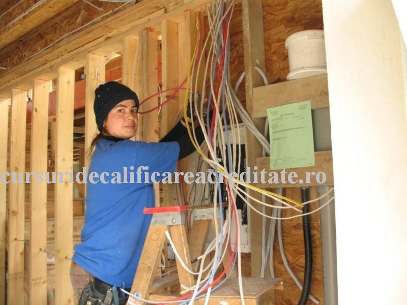 electrician model.jpg