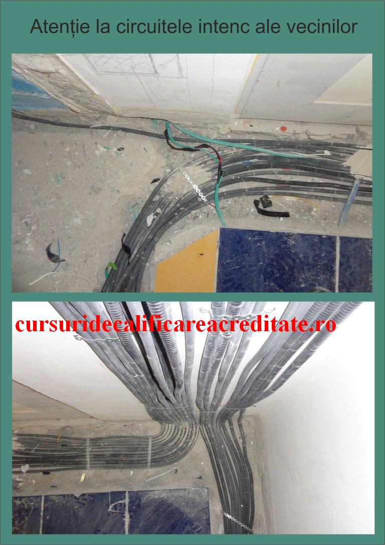 Intenc in sapa.1 (Medium).JPG