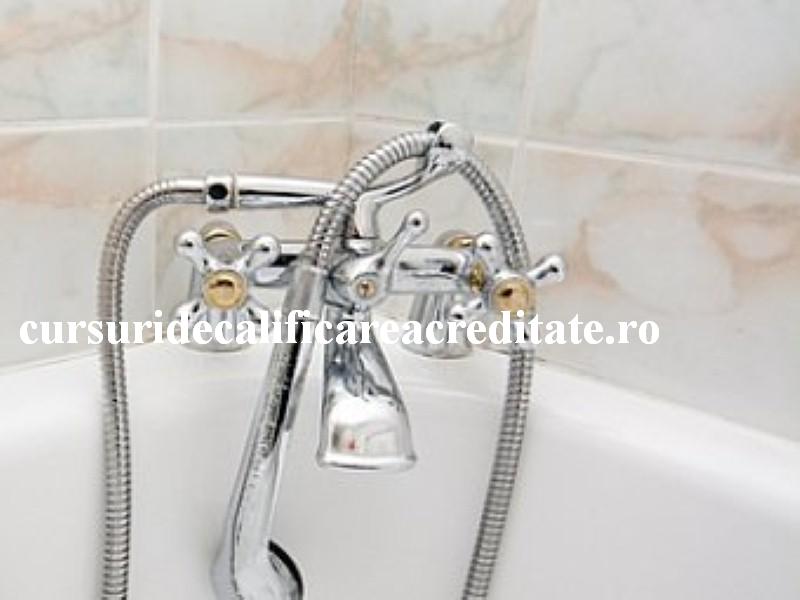 alegerea-bateriilor-sanitare-potrivite_204297_m (Custom).jpg