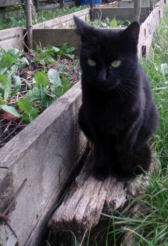 Frigotehnistul se uita la automatizare.JPG