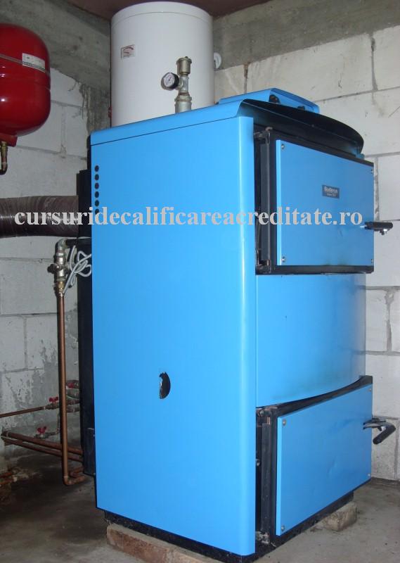 cazan cu lemne (Custom).JPG