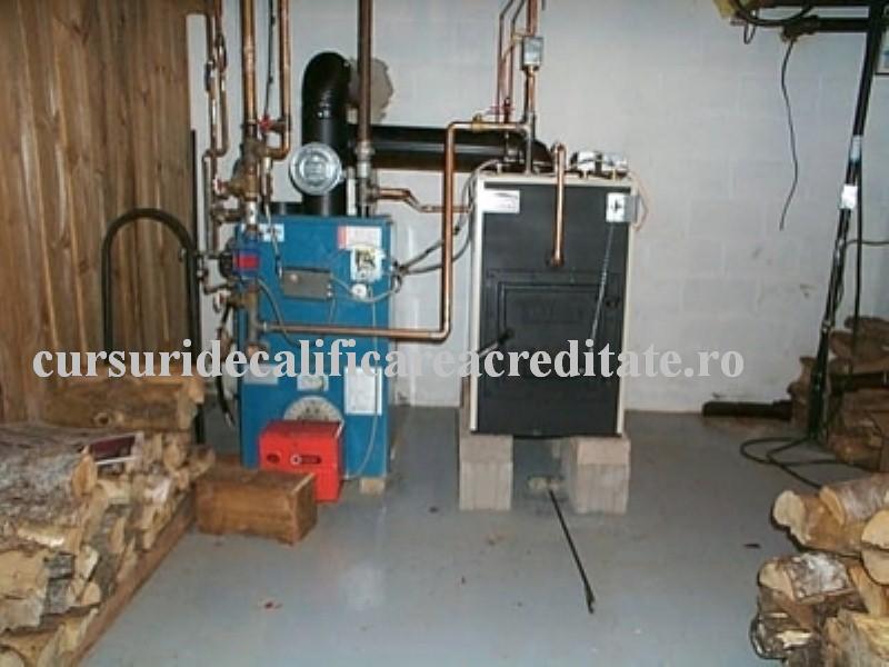 centrale-termice-pe-lemne-bosch-7 (Custom).jpg