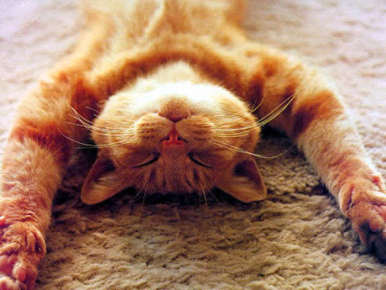 Cand ai timp liber nu te relaxa te sfatuiesc sa studiezi.jpg