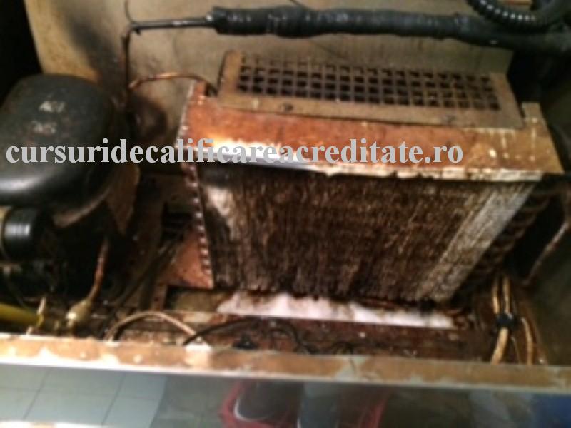 Doar solutiile speciale au facut fata.JPG