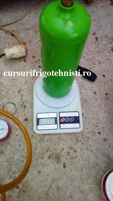 vitrina 3 (Custom).jpg