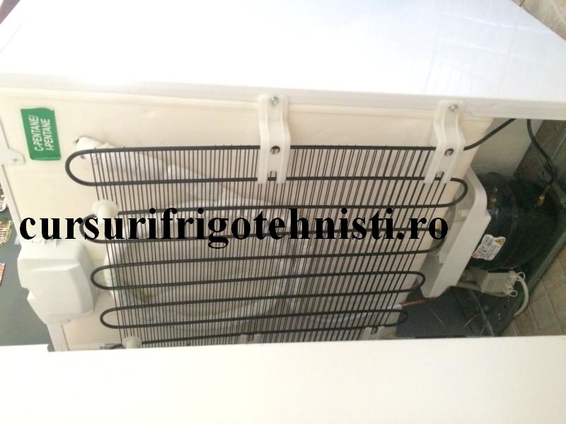 IMG_9168 (Custom).JPG