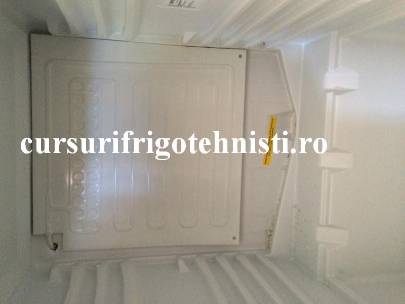 IMG_9163 (Custom).JPG