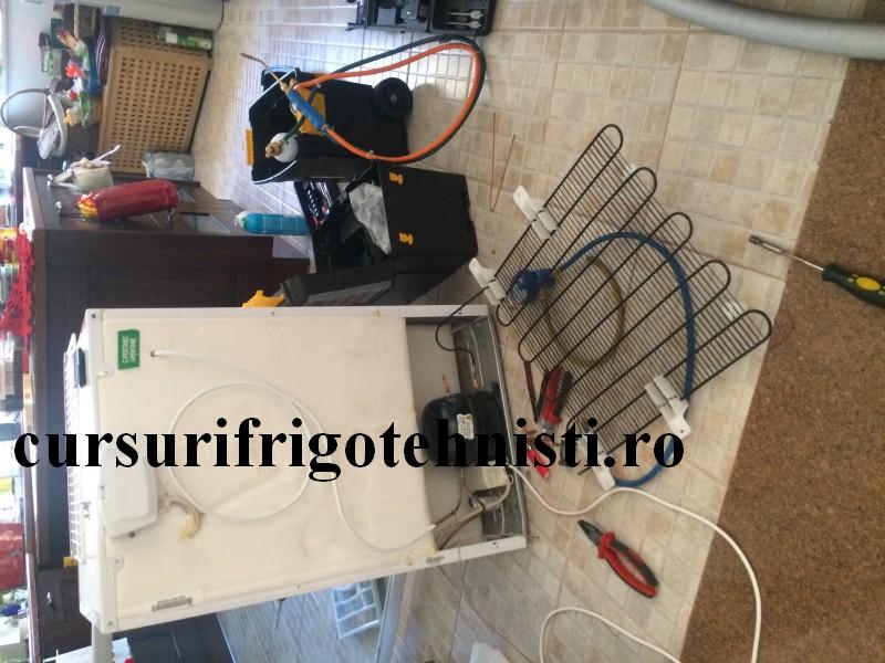 IMG_9162 (Custom).JPG