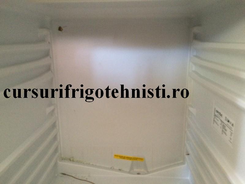 IMG_9155 (Custom).JPG