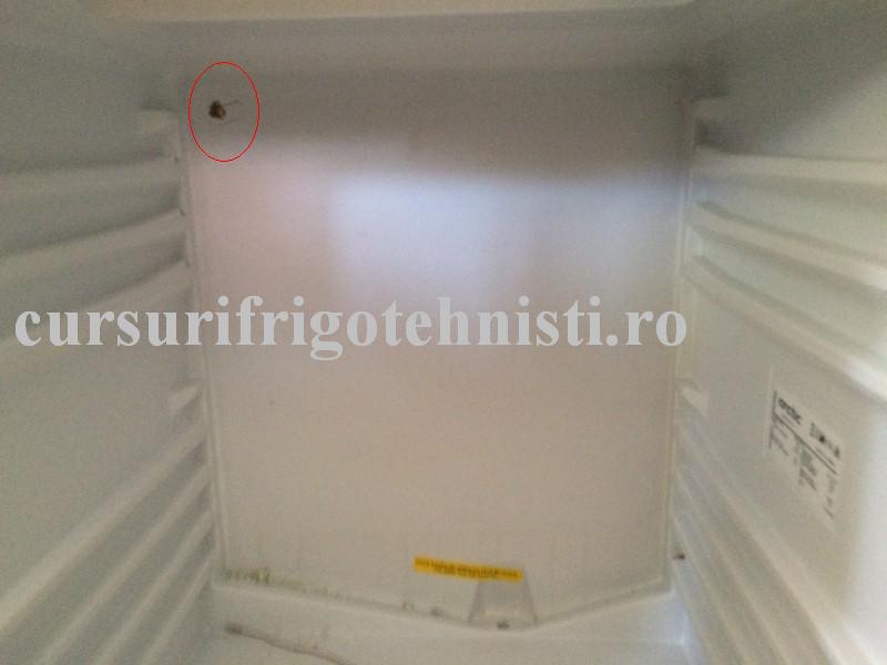 IMG_9156 (Custom).JPG