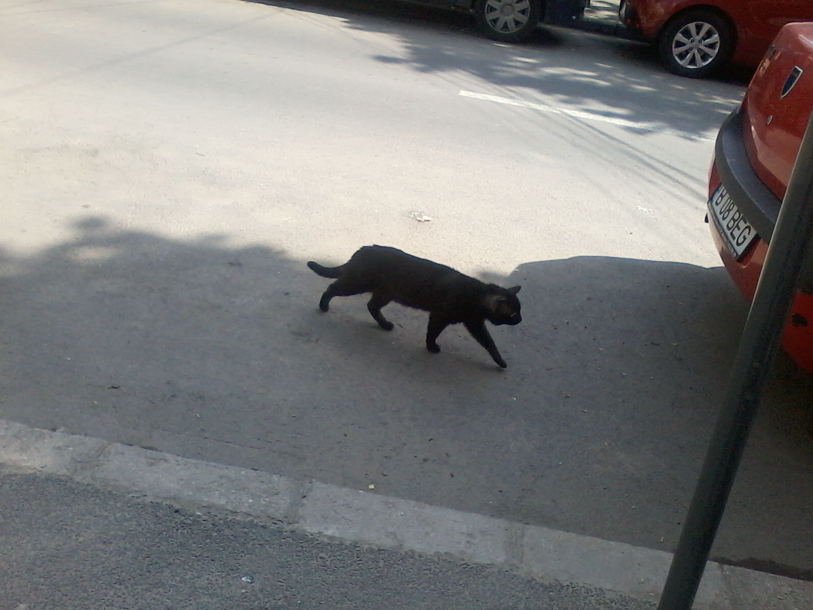 Un cursant de la alta firma vrea un manual.jpg