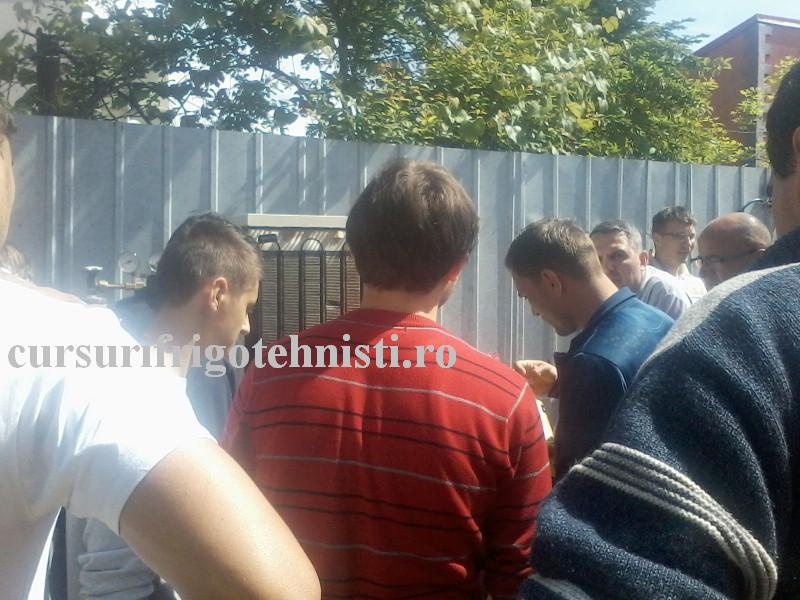 Grupa lui Ovidiu 1.jpg