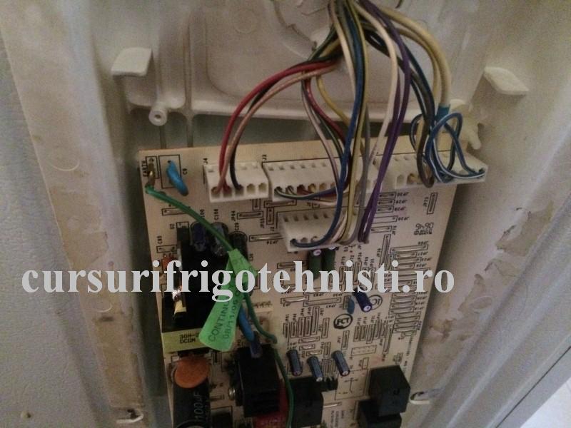 IMG_9261 (Custom).JPG