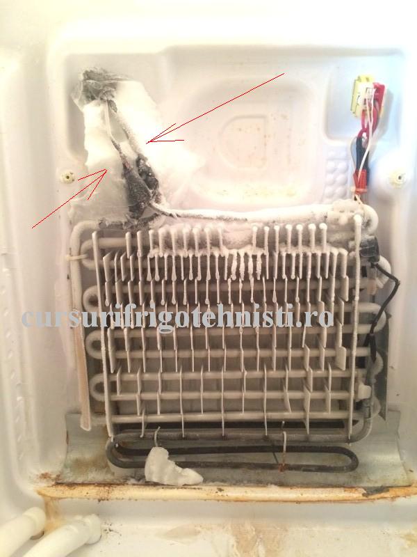 IMG_9229 (Custom).JPG