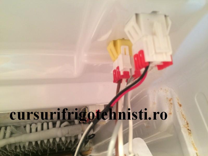 IMG_9228 (Custom).JPG