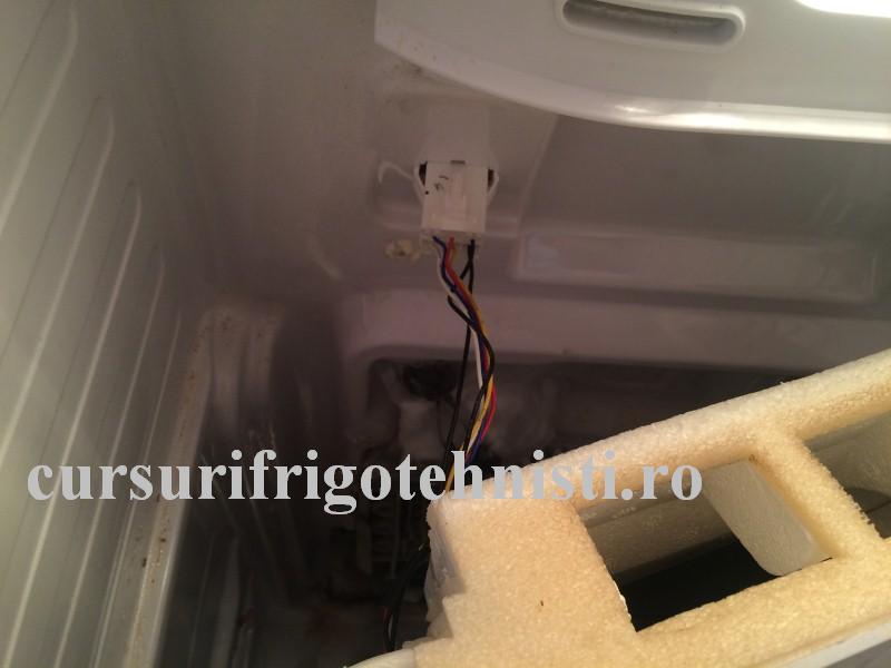 IMG_9226 (Custom).JPG