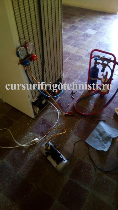 Arctic 2 comp 1 (Custom).jpg