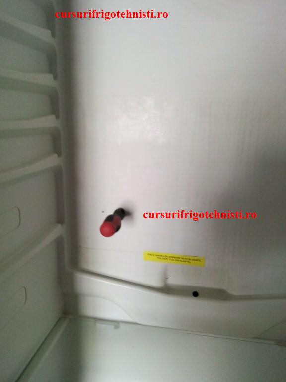 IMG_20150105_095442 (Custom).jpg