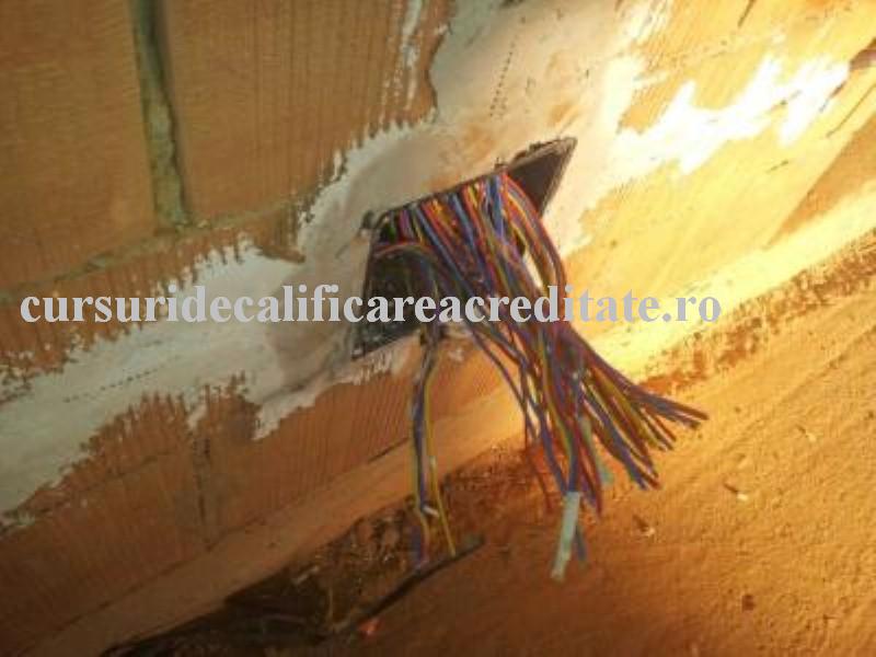 Legaturi in doza (Custom).jpg