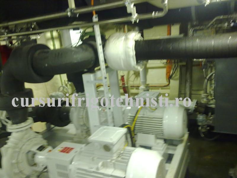 18062012832 (Custom).jpg