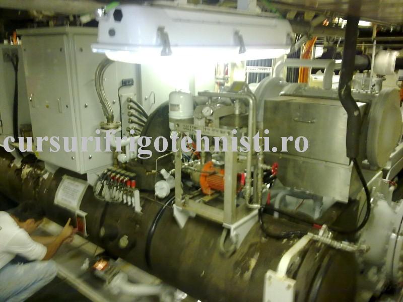 18062012826 (Custom).jpg