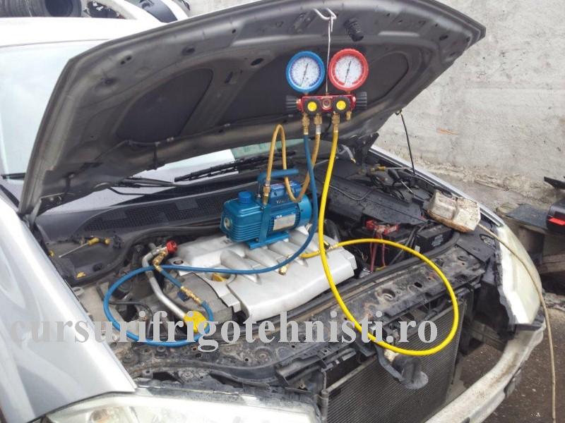 20160517_113810 (Custom).jpg