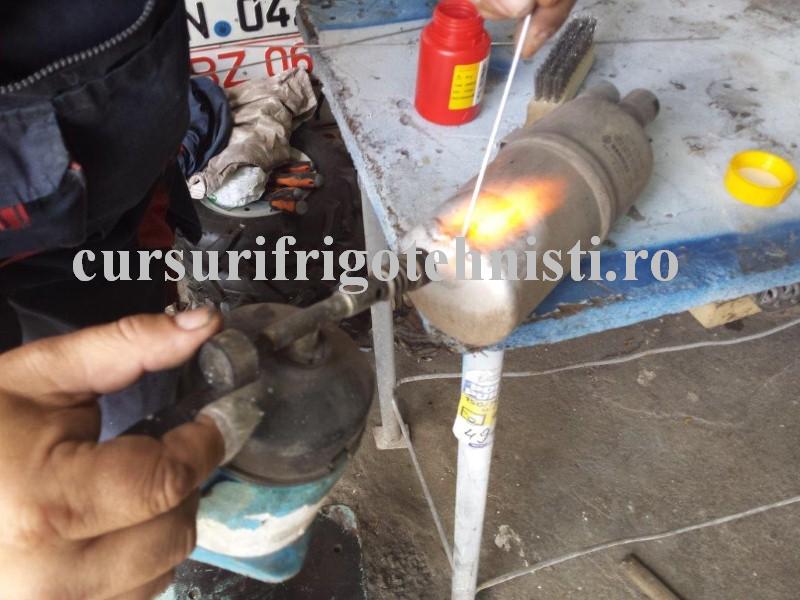 20160517_143214 (Custom).jpg