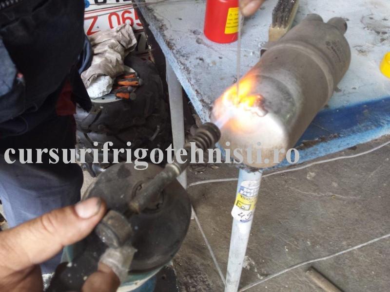 20160517_143157 (Custom).jpg