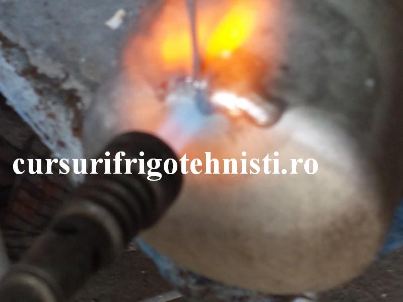 20160517_143131 (Custom).jpg