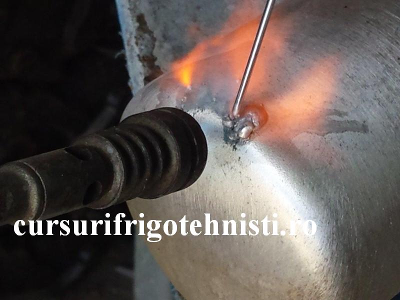 20160517_143026 (Custom).jpg