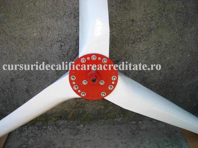 DSC07106 (Custom).JPG