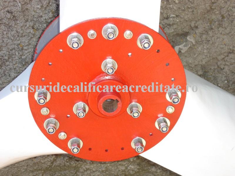 DSC07115 (Custom).JPG